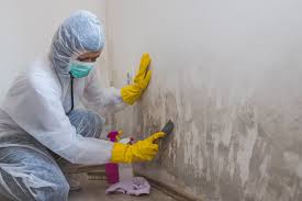 Biohazard Mold Removal in Mill Neck, NY